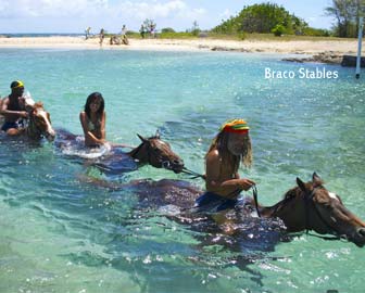 Braco Stables