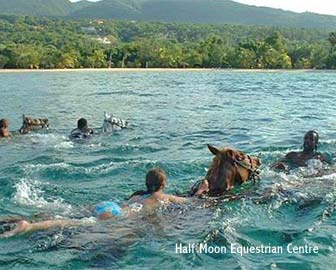 Half Moon Equestrian Centre